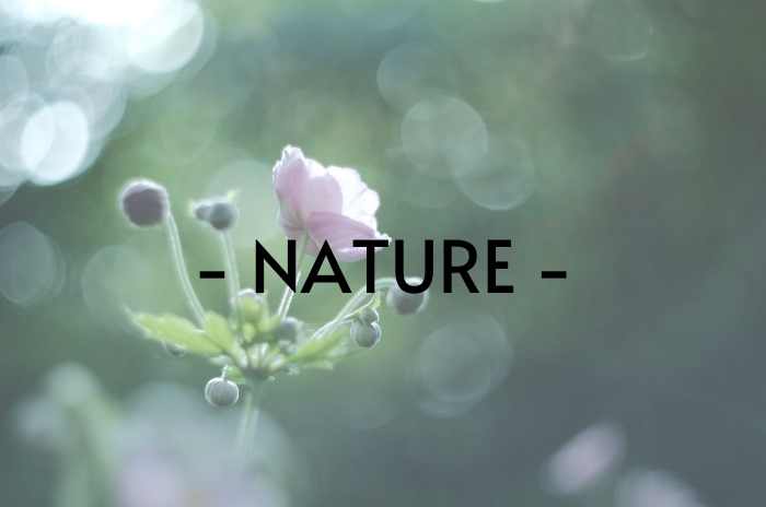 - NATURE -